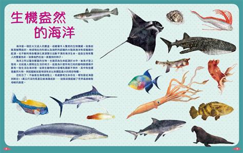 魚有幾種|《世界上有哪些魚？ 》 太平洋的魚類與海洋生物